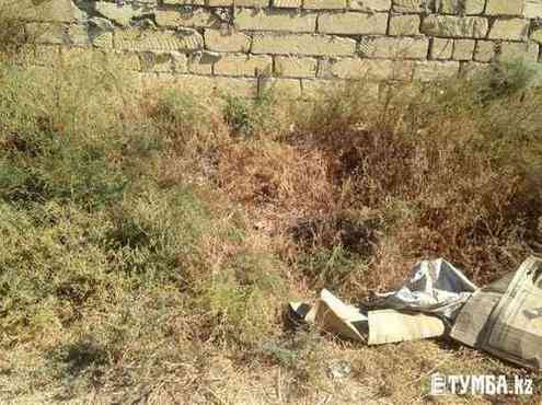 pogudx51upfj67dcf.a893b65f