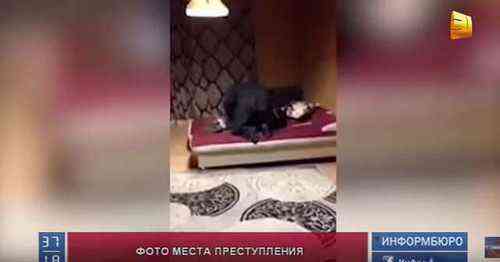 pogudx79fuqcam1iq.180bbdd3