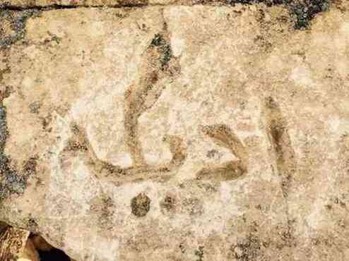 pogudx7vo4dodtmed.16763362