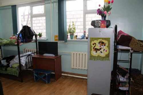 1c1bc3992d68015925c8c75e3b4b95f6