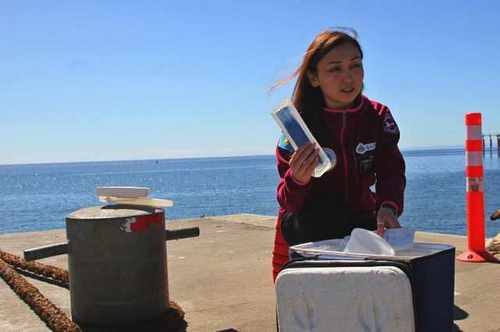 Ученые из Казахстана рассказали, чем будут заниматься на Антарктиде