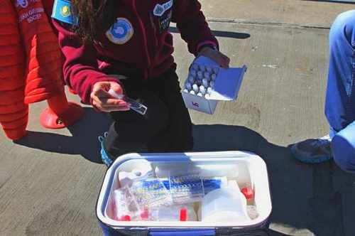 Ученые из Казахстана рассказали, чем будут заниматься на Антарктиде