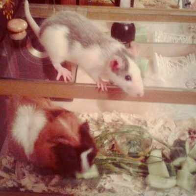 c5d05f24f7ceb0a81b8067b8680d23e9