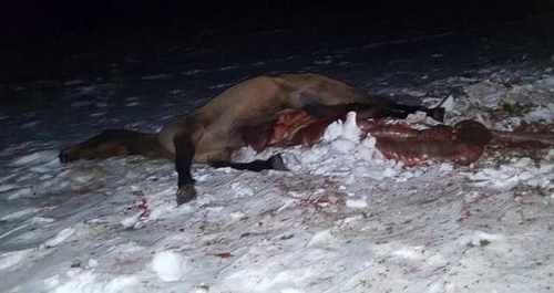 pogudx2r897sja5e4.40985cae