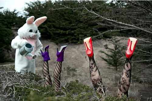 pogudx2sn029a7clt.c8ee4df2