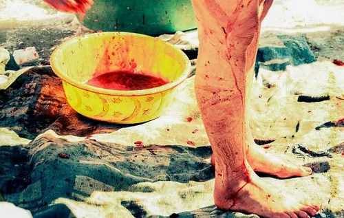 pogudx3qjdb2d1edhg.7a943674