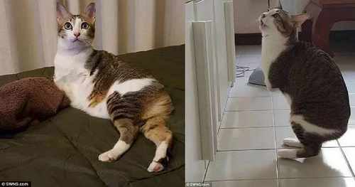 pogudx44u36bc7i4o.f967d3c8