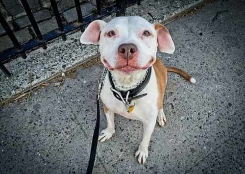 pogudx4vcr33nvbfk.ea2e038c