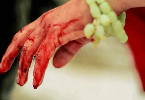 pogudx621e2e3gt8o.d8460889