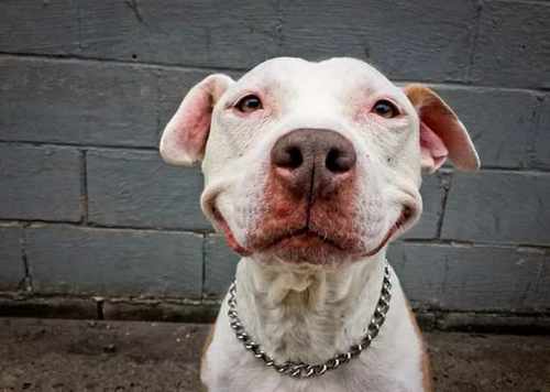 pogudx6rr06k3lt2u.e43f2644