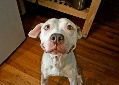 pogudxrvqr2un2gds.57764a48