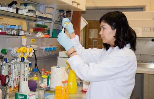 новый способ борьбы с раком