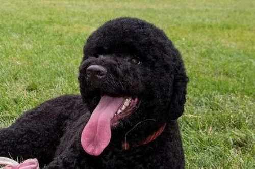 pogudx2aaf2j06jg9g.3405e27a