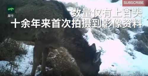 pogudx2pja733e3r8g.9949329e