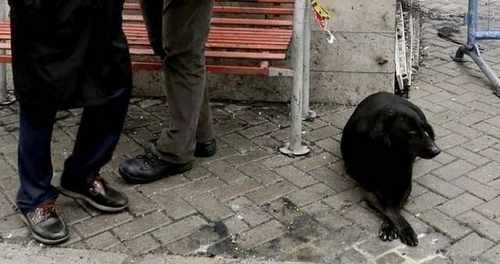 pogudx7iifcdfdo8l.8d2ccac8