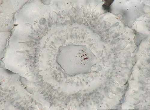 1c934de818c1b892483b4d0e64d2cf3d