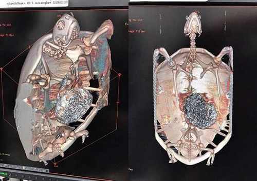 5256010a55fda13fd72c137052f497bb