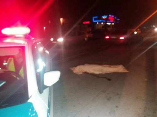 632f864bd1260fdc1c768bb338608913