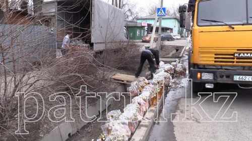 698d0d0adeec8a872425b5220858d260