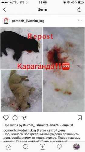 df03685cbf784aab45e379b28687e70a