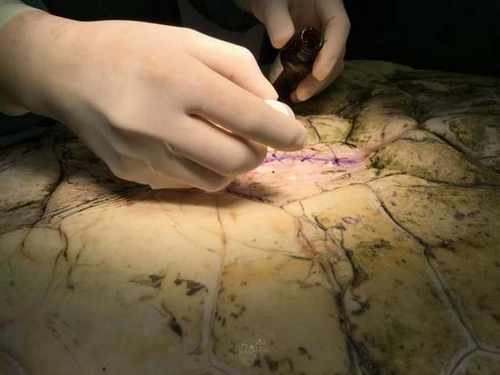 f7229f855fbd6a65c2f1ad57f024004e