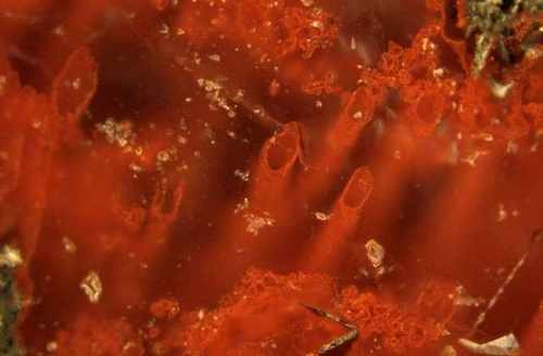 f9d791801a5126fe5d94d377362b02b4