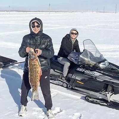 pogudx19tbtkni1bt8.df837fd9