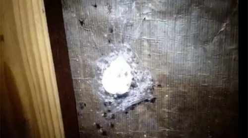 pogudx1l3nl4s3ijgg.6a7e90ae