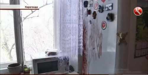 pogudx2r5mokmmpqvg.59db4ae5