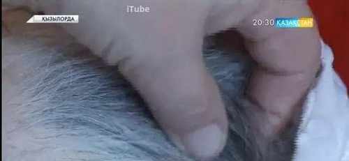 pogudx3rf788mme79.4c7be6ac