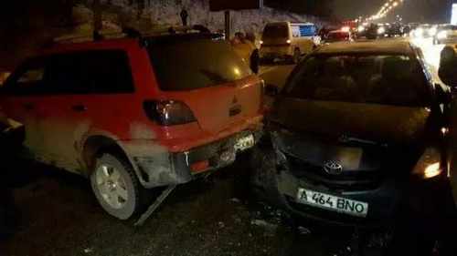 pogudx5pets7tcf75.333ed510