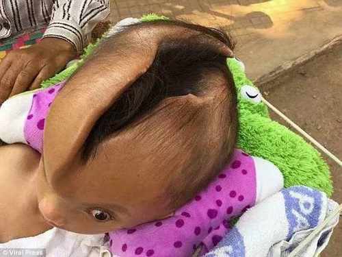 pogudxtnnfonerknk.e80184bd