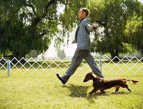 pogudx6rhcgr5spua.75e288d7